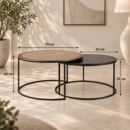 Encircle Nesting Coffee Tables (Set of 2)